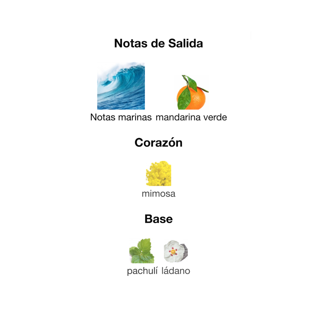 ACQUA DI GIO PROFONDO PARFUM